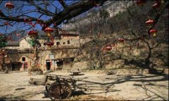 精美化别致而又不高耸的协调美感